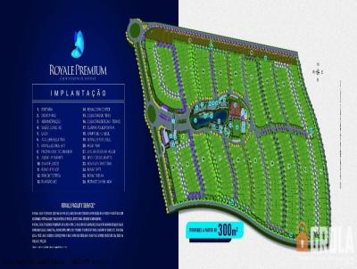 imagem-miniatura