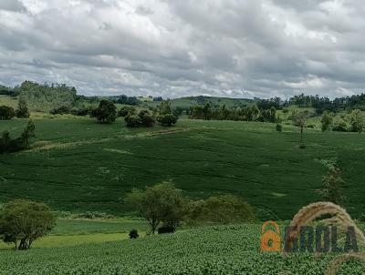 Stio para Venda, em Nova Tebas, bairro Zona Rural