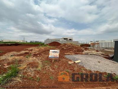 imagem-miniatura