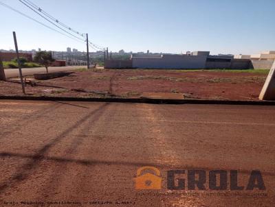 imagem-miniatura