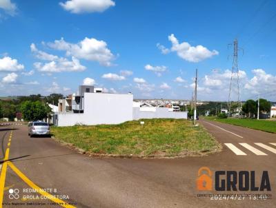 imagem-miniatura