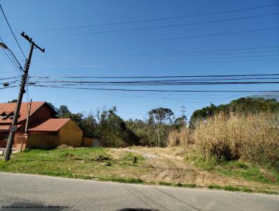Terreno para Venda, em Curitiba, bairro Santa Felicidade