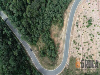 Terreno para Venda, em Almirante Tamandar, bairro Planta Almirante