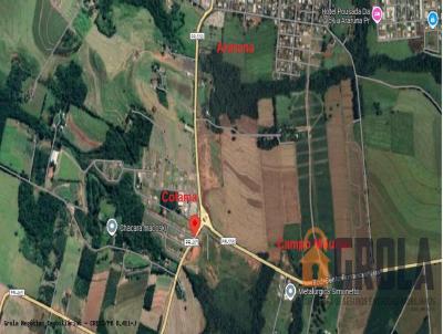 Terreno para Venda, em Araruna, bairro Jardim Botnico