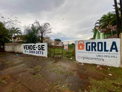 imagem-miniatura