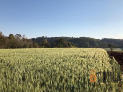 Stio para Venda, em Campo Mouro, bairro rea Rural