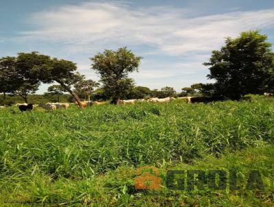 Fazenda para Venda, em Pedro Gomes, bairro 