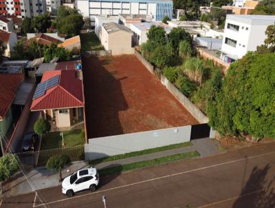 imagem-miniatura
