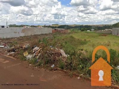 imagem-miniatura