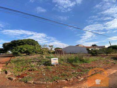 imagem-miniatura