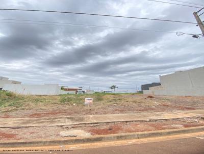 imagem-miniatura