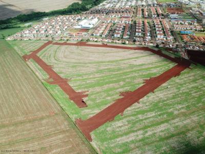 Terreno para Venda, em Cascavel, bairro Jardim Mônaco
