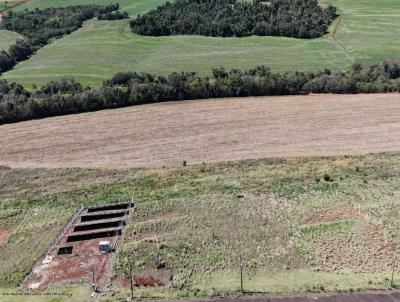 Terreno para Venda, em Luiziana, bairro .