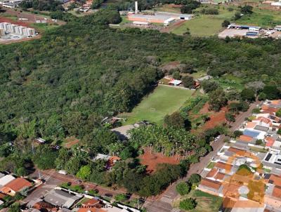 Terreno para Venda, em Campo Mour�o, bairro Jardim Capric�rnio
