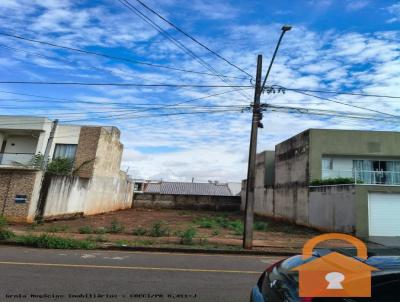imagem-miniatura