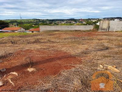 Terreno para Venda, em Mambor�, bairro 